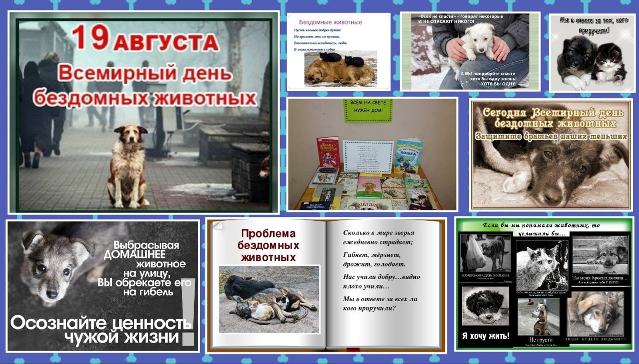 17 августа день бездомных животных. Всемирный день бродячих животных